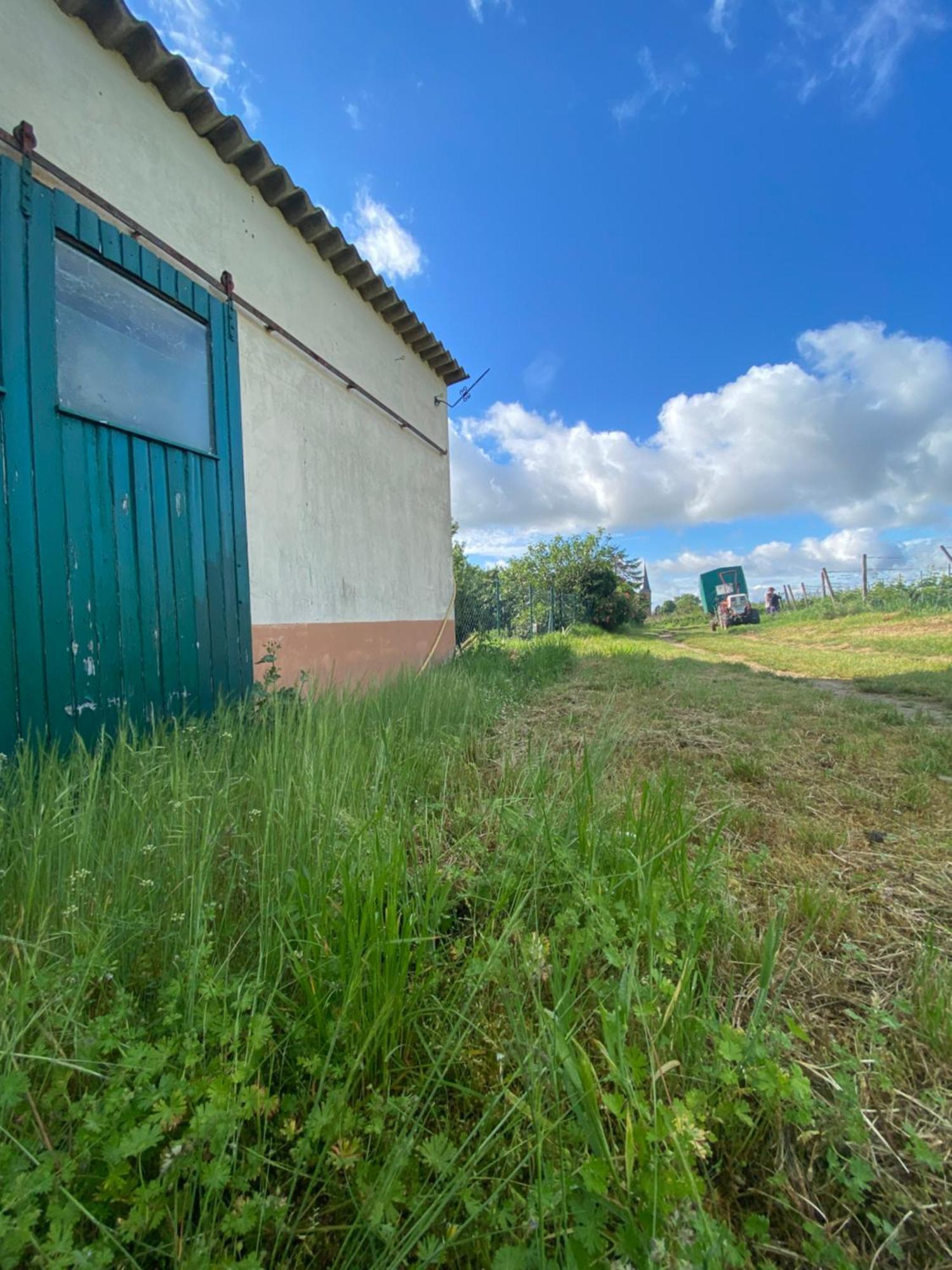 Zum Schockelgaul Gaestehaus Forst an der Weinstrasse ภายนอก รูปภาพ
