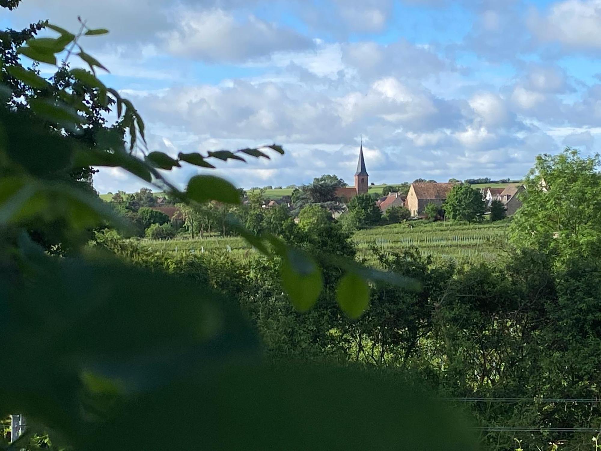 Zum Schockelgaul Gaestehaus Forst an der Weinstrasse ภายนอก รูปภาพ